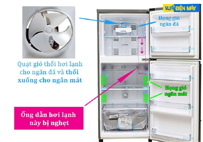 Ống dẫn hơi từ ngăn đá xuống tủ lạnh bị nghẹt 